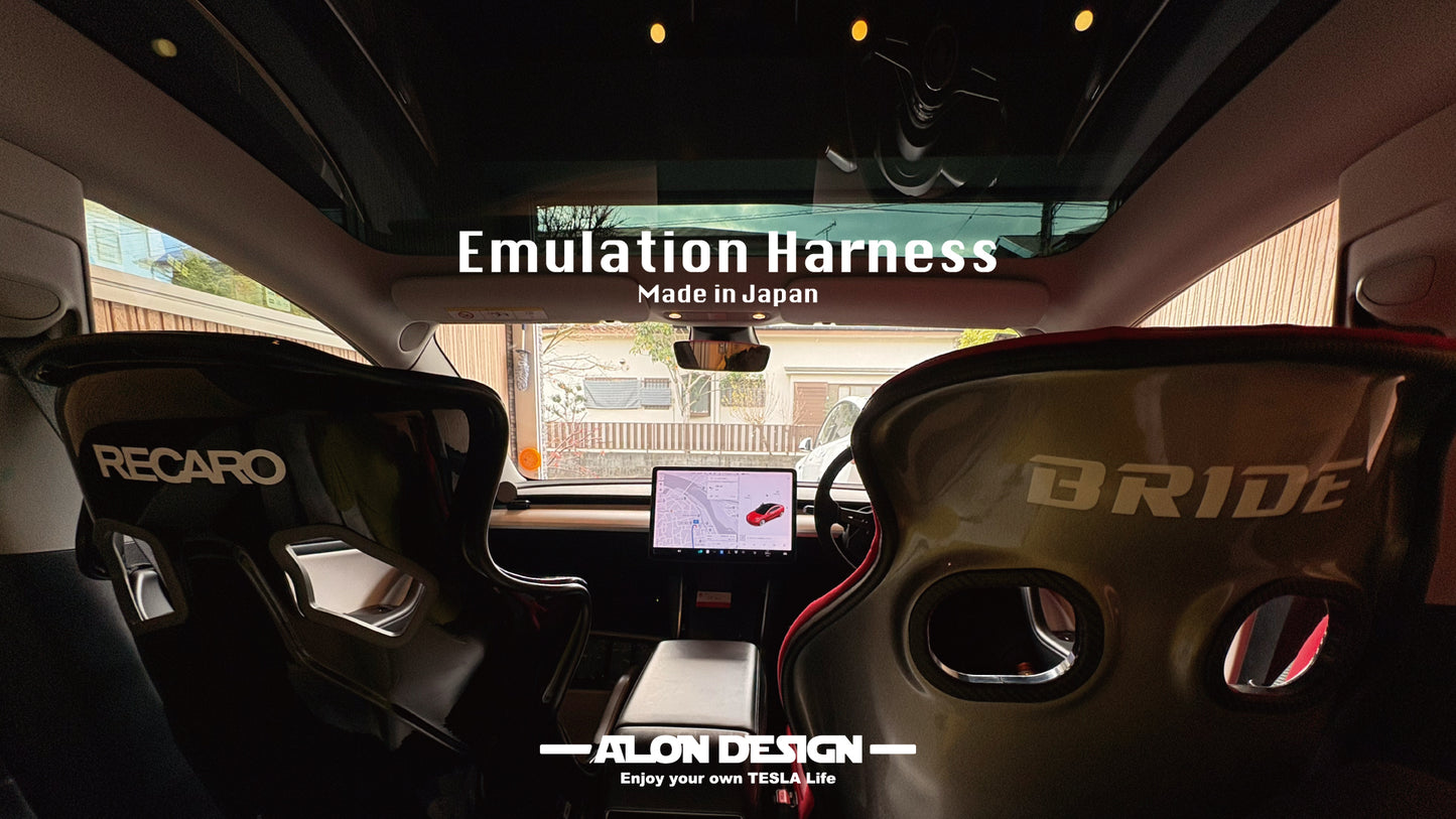 Emulation Harness for Model3/Y