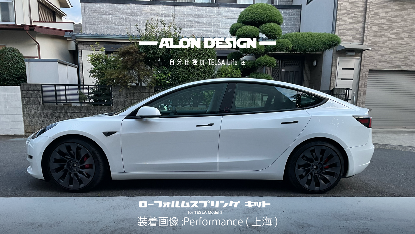 Low form spring kit for Model3