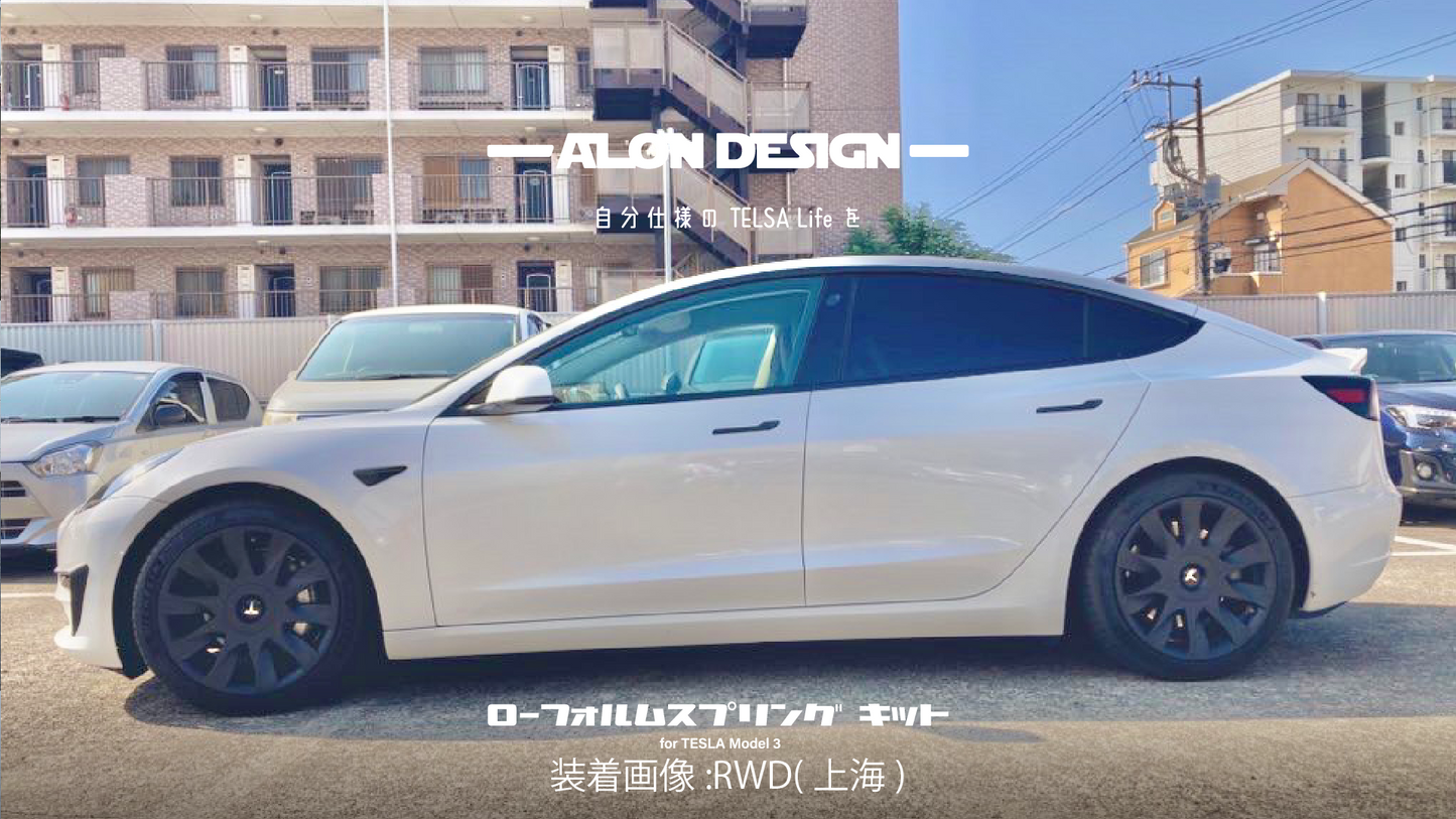 Low form spring kit for Model3