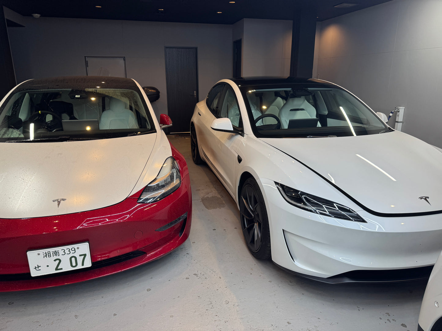 Emulation Harness for Model3/Y