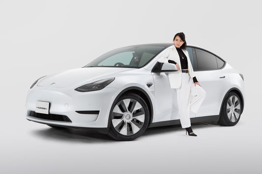 Low form spring kit for ModelY